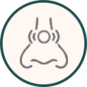 Sinus assessment Moncton